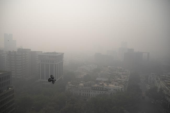 Ô nhiễm không khí có thể làm giảm hơn 9 năm tuổi thọ của 40% người Ấn Độ