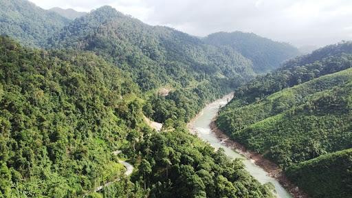 Panama và Honduras ký hiệp định phục hồi rừng