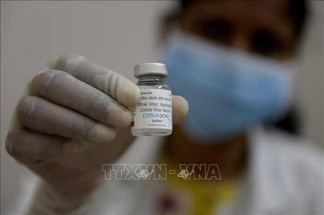 Vaccine ngừa COVID-19 của Ấn Độ có 'hiệu quả cao'