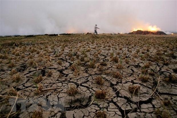 COP27: Ai Cập kêu gọi thế giới tập trung vào mối đe dọa biến đổi khí hậu