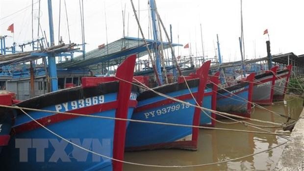 Các tỉnh, thành phố từ Quảng Ninh đến Bình Định chủ động ứng phó với gió mạnh trên biển