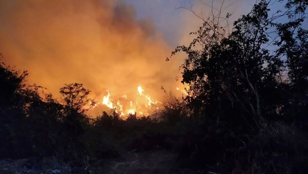 Thái Lan nỗ lực khống chế cháy rừng gần thủ đô Bangkok