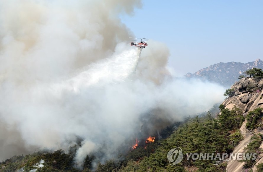 Tổng thống Hàn Quốc chỉ thị huy động mọi nguồn lực dập tắt cháy rừng