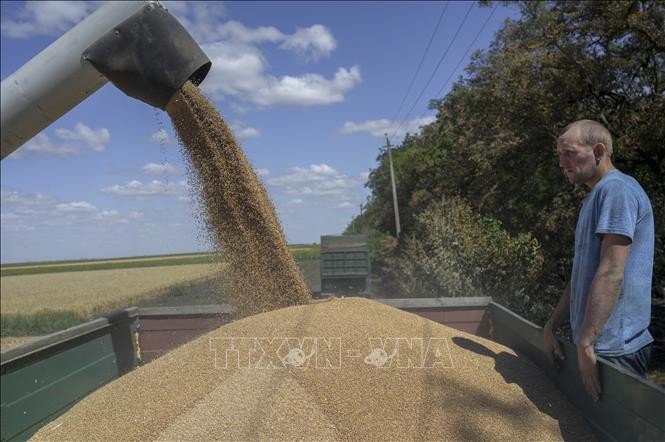 Ukraine tạm thời không xuất khẩu ngũ cốc sang 5 nước Đông Âu