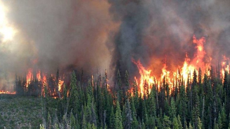 Nắng nóng và cháy rừng hoành hành ở miền Đông Canada