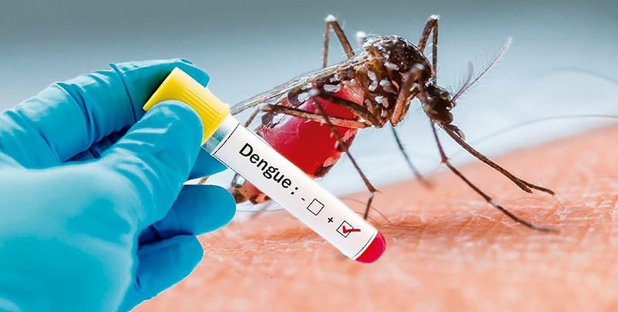 Ngày ASEAN phòng chống sốt xuất huyết 2023: Chủ động loại bỏ nơi sinh sản của muỗi truyền bệnh
