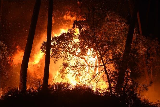 Biến đổi khí hậu thử thách các giới hạn của chiến lược chống cháy rừng ở Pháp