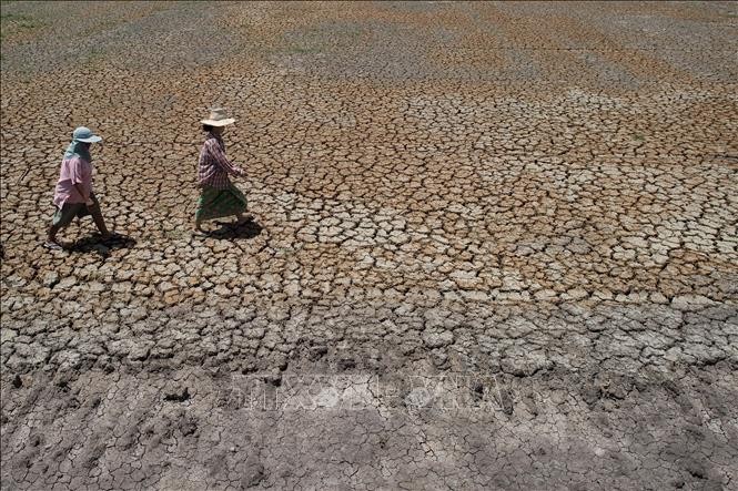 Thái Lan: Tình trạng khô hạn có thể kéo dài sang năm 2024