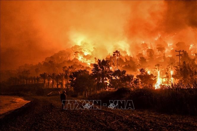 Hệ sinh thái Hy Lạp đối mặt với nguy cơ cháy rừng ngày càng tăng