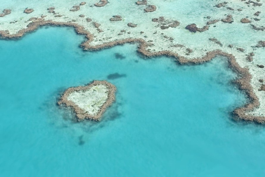 UNESCO ghi nhận nỗ lực bảo tồn rạn san hô Great Barrier