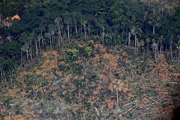 Brazil tăng cường hoạt động phòng, chống tội phạm tại Amazon
