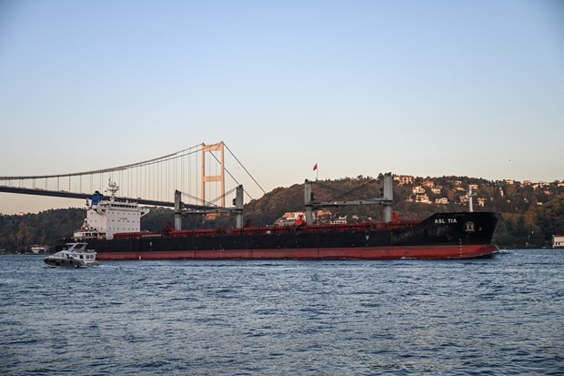 Nga, Thổ Nhĩ Kỳ và Qatar chuẩn bị thỏa thuận mới thay cho Sáng kiến Ngũ cốc Biển Đen