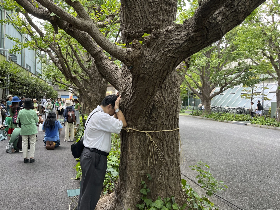 Người Tokyo phản đối chặt bỏ hàng cây bạch quả 100 tuổi 