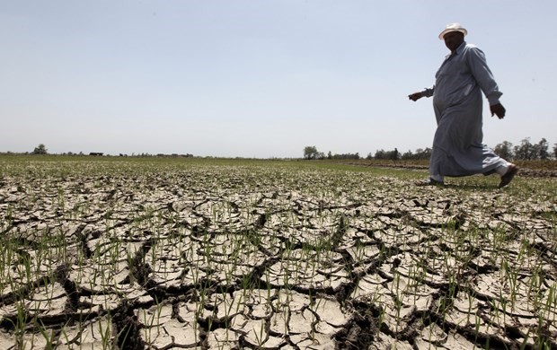 Ai Cập kêu gọi tăng cường tài chính cho thích ứng với biến đổi khí hậu