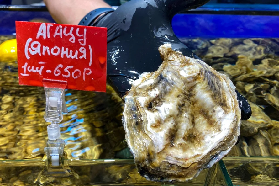 Hàu Nhật Bản được bày bán tại một chợ hải sản ở Moscow, Nga. Ảnh: AFP