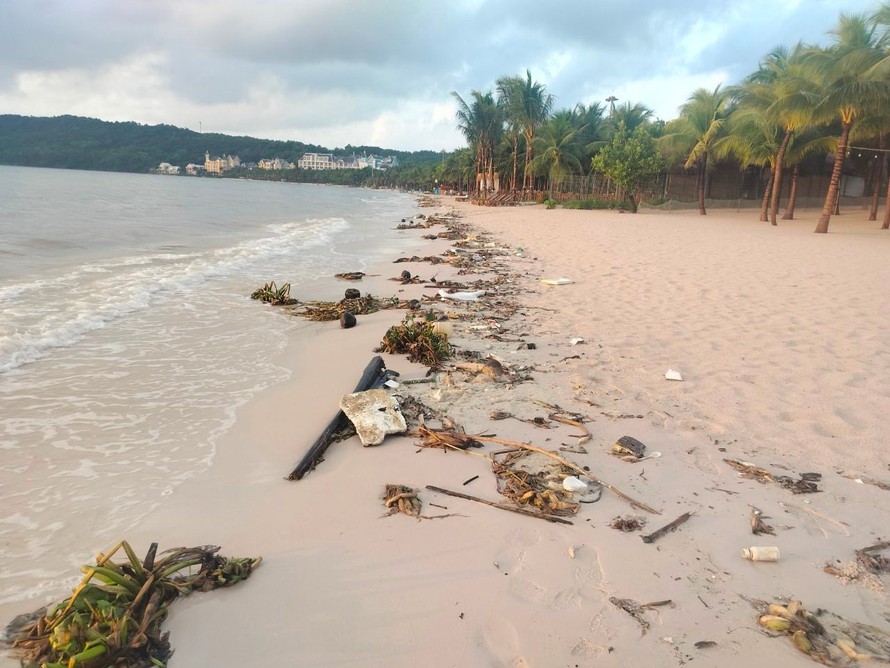 Những bãi biển ngập bèo, rong rêu, rác thải do gió mùa mang đến. 
