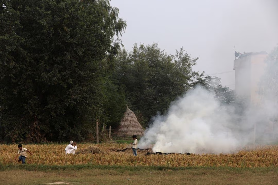 Nông dân Ấn Độ tiếp tục đốt rơm rạ bất chấp ô nhiễm gia tăng
