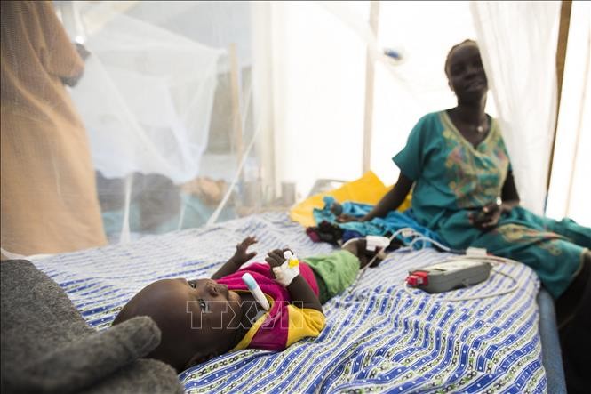 LHQ: Thêm hàng nghìn ca nghi mắc bệnh tả tại Sudan