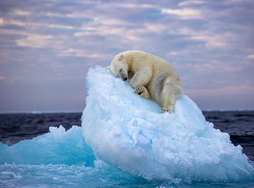 Bắc Cực trải qua mùa hè ấm nhất trong lịch sử