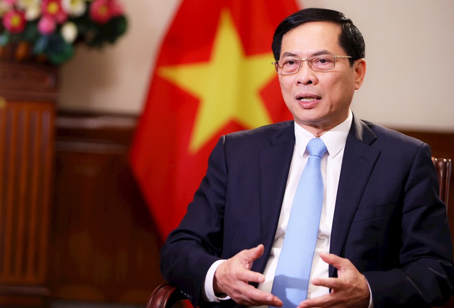 Bộ trưởng Bùi Thanh Sơn: Phát huy bản sắc ngoại giao "cây tre Việt Nam”