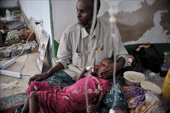WHO tăng cường hỗ trợ Somalia ứng phó với bệnh tả ​