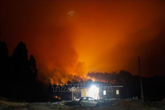 Chile ban bố tình trạng khẩn cấp do cháy rừng