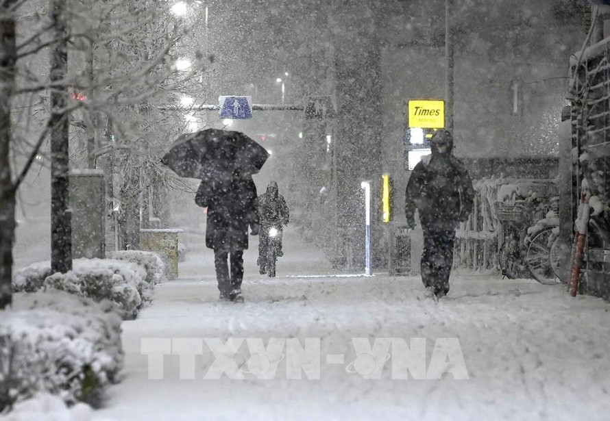 Tuyết rơi ảnh hưởng nghiêm trọng đến hệ thống giao thông tại Tokyo