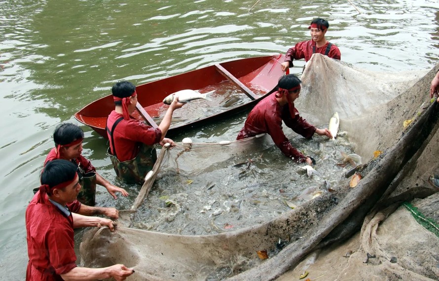 Lễ rước nước, tế cá tại Đền Trần