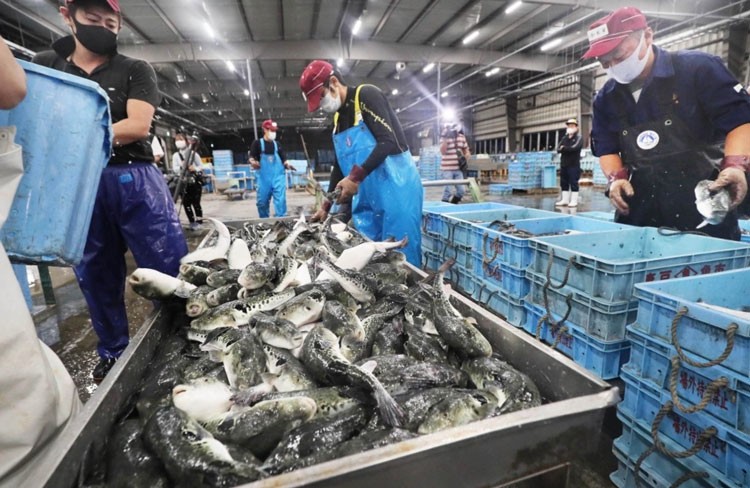 Nhật Bản tìm cách mở rộng mạng lưới xuất khẩu thủy sản