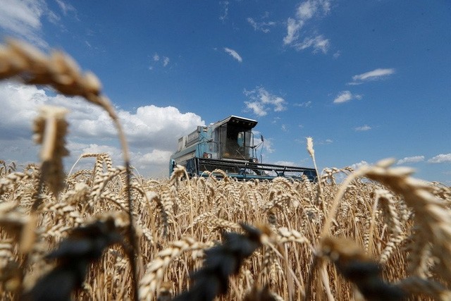 LHQ hối thúc Nga, Ukraine đảm bảo nguồn cung lương thực và phân bón ra thị trường thế giới