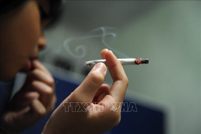 WHO báo động tình trạng sử dụng rượu và thuốc lá điện tử trong thiếu niên