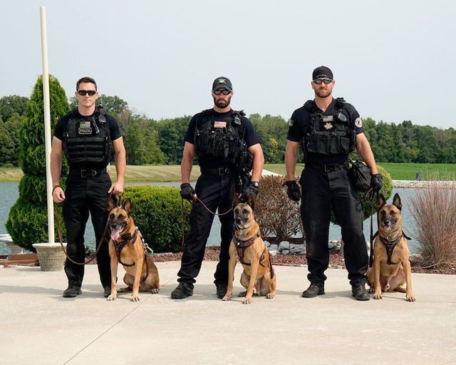 Những chú chó nghiệp vụ của Mật vụ Mỹ (Ảnh: Life News)