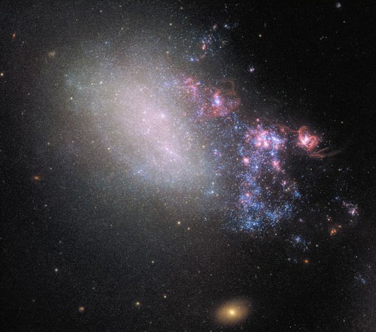 Thiên hà NGC 4485 tan tác, mất dạng xoắn ốc và trữ đầy những ngôi sao "sơ sinh" sau cuộc va chạm. - Ảnh: HUBBLE (NASA/ESA)