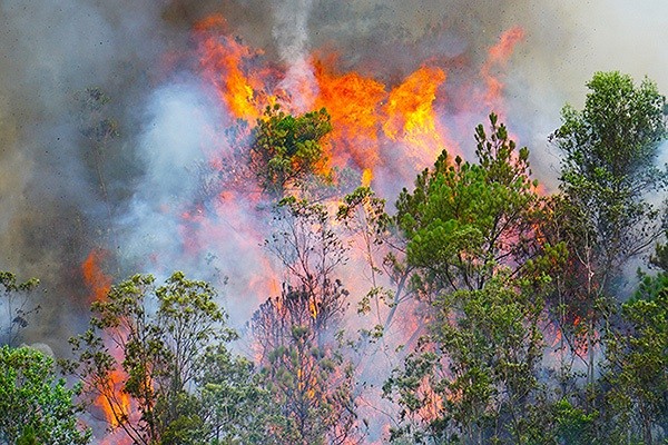 Lửa bốc cao trong vụ cháy rừng ở Hòa Khánh Bắc, Liên Chiểu, Đà NawngK - Ảnh:VNN