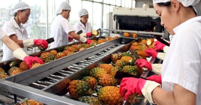 Xuất khẩu rau quả sang Trung Quốc sụt giảm nhẹ.