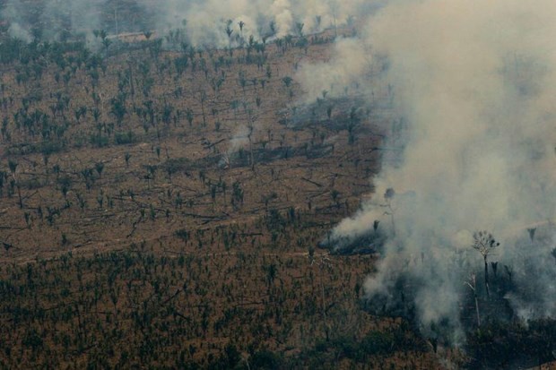 Rừng Amazon bị cháy lớn tàn phá nghiêm trọng. (Ảnh: AFP/Getty)
