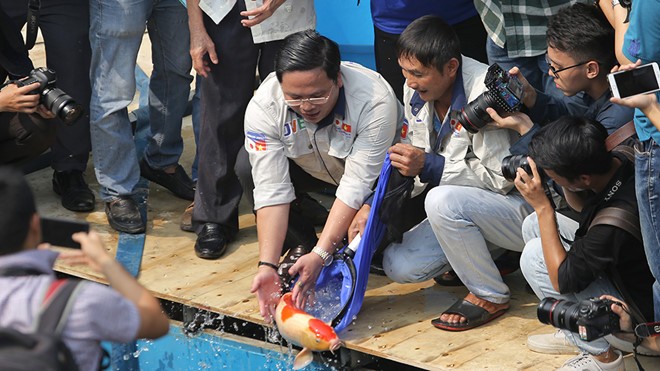 Các chuyên gia môi trường Nhật Bản, Việt Nam đã thả hàng trăm con cá Koi, cá chép Tam Dương và nhiều loại cá khác xuống sông Tô Lịch, hồ Tây.