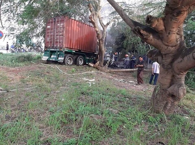 Chiếc xe container lao xuống ven đường và đâm vào một gốc cây.