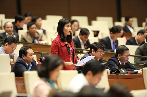 Đại biểu Quốc hội tỉnh Hà Tĩnh Bùi Thị Quỳnh Thơ thảo luận về dự án Luật Đầu tư (sửa đổi). (Ảnh: Lâm Khánh/TTXVN)
