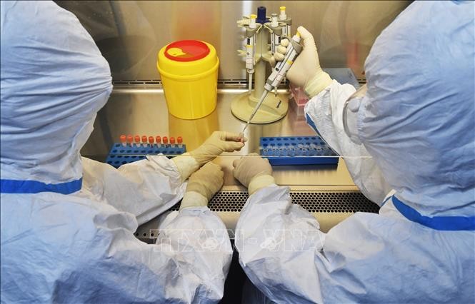 Xét nghiệm các mẫu bệnh phẩm tại phòng thí nghiệm ở tỉnh Tứ Xuyên, Trung Quốc, ngày 15/2/2020. - Ảnh: THX/TTXVN