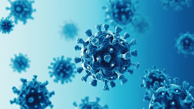 Virus corona có thể ảnh hưởng khả năng sinh sản của nam giới và nguy cơ lây truyền qua đường tình dục. - Ảnh: Foxnews.