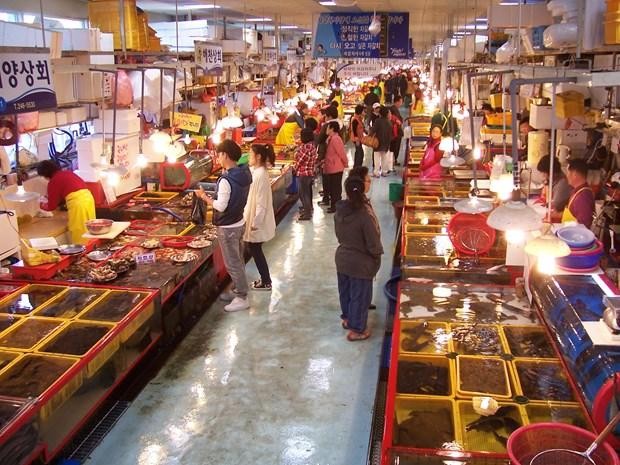 Chợ cá tại Busan.