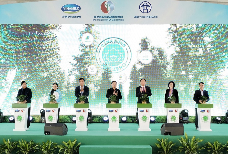 Phó Thủ tướng Trần Hồng Hà cùng các đại biểu thực hiện nghi thức khởi động dự án trồng cây hướng đến Net Zero.