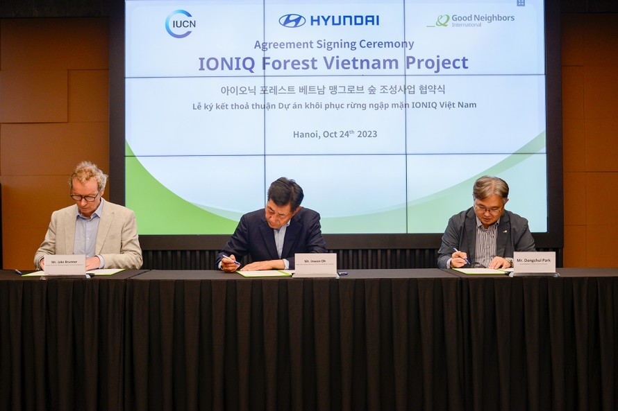 Hyundai Motor đồng hành cùng IUCN & GNI triển khai trồng rừng ngập mặn tại Đồng bằng sông Cửu Long