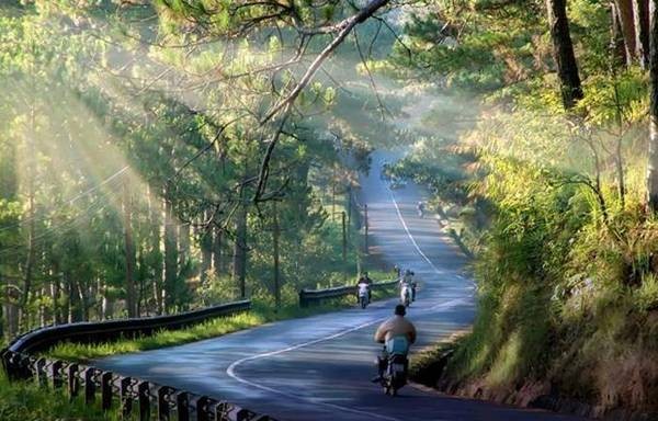 Đoạn đường đẹp như tranh vẽ của đèo Prenn nằm cách trung tâm Đà Lạt khoảng 10 km (Ảnh: caonguyendatravel.com)