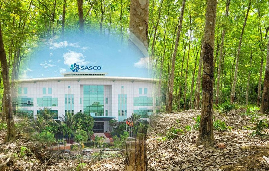 Sasco ‘sa lầy’ vào dự án ở Bình Phước - bài 2: Hàng trăm ha đất rừng vào tay cá nhân