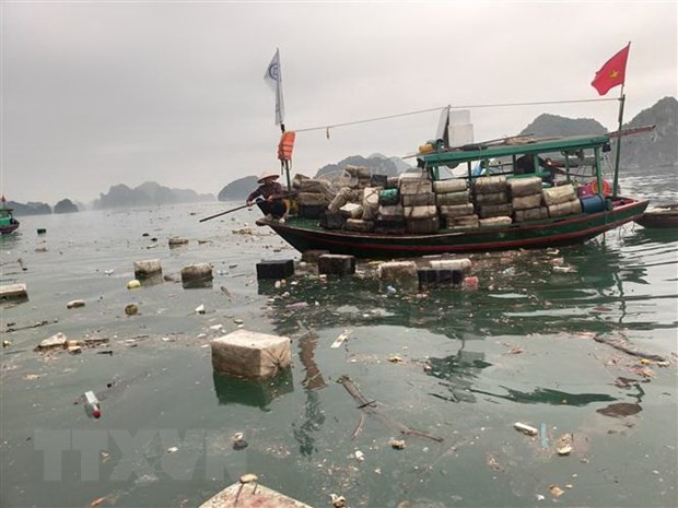Vịnh Hạ Long ngập rác thải trên mặt biển. Ảnh: TTXVN