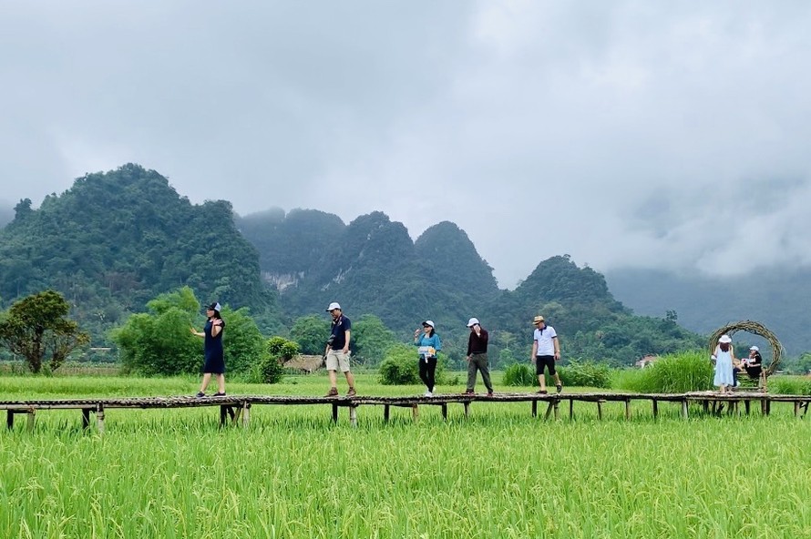 Du khách thích thú trải nghiệm trên cánh đồng xanh mát tại huyện Lâm Bình, Tuyên Quang.