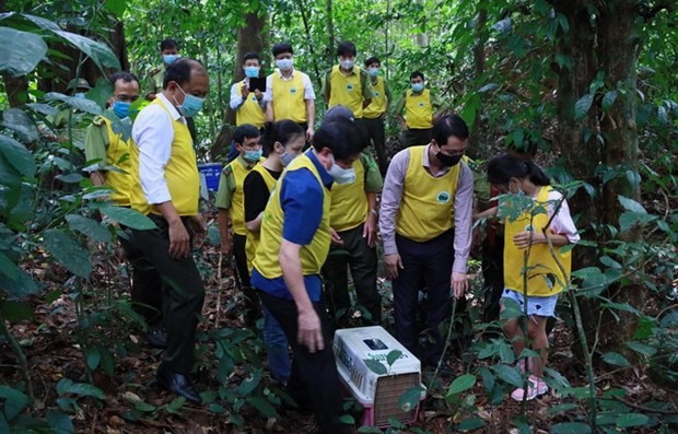 Ông Nguyễn Văn Chính (đứng ngoài cùng bên trái), Giám đốc Vườn Quốc gia Cúc Phương, dẫn đoàn tham gia hoạt động thả động vật về rừng.