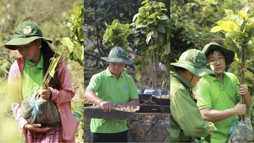 TH true MILK chung tay, tài trợ hàng nghìn cây giống để “vá rừng” tại Vân Hồ, Sơn La.